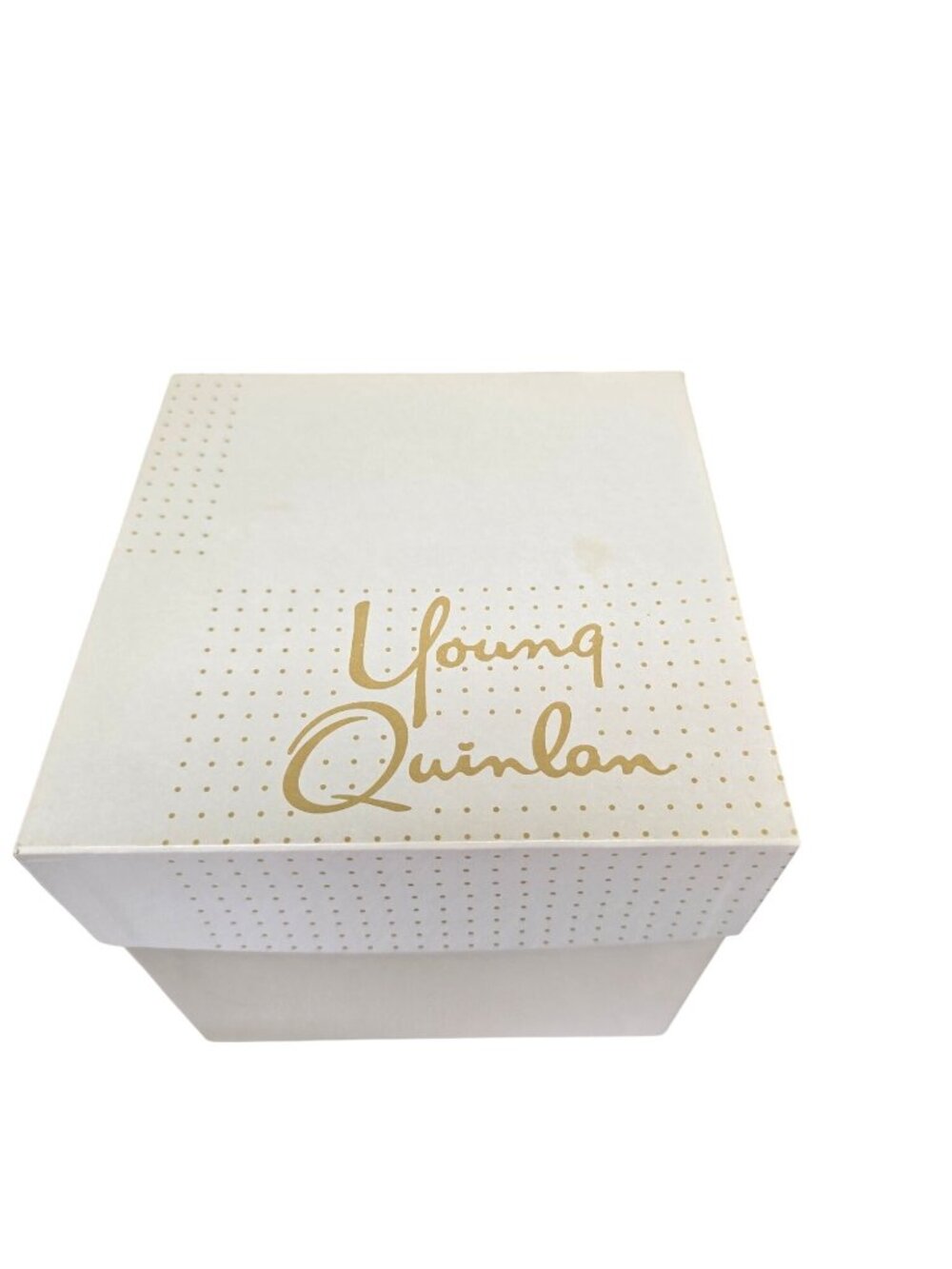 Vintage Young & Quinlan Dept Store Box Minneapolis Advertising 6.25" Square